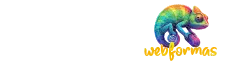 WebFormas, agência de marketing digital em São Paulo